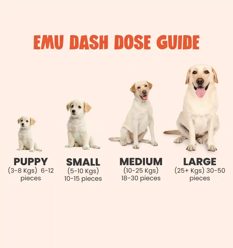 Human and the Beast EMU DASH Dry Food for Dogs, 100 g