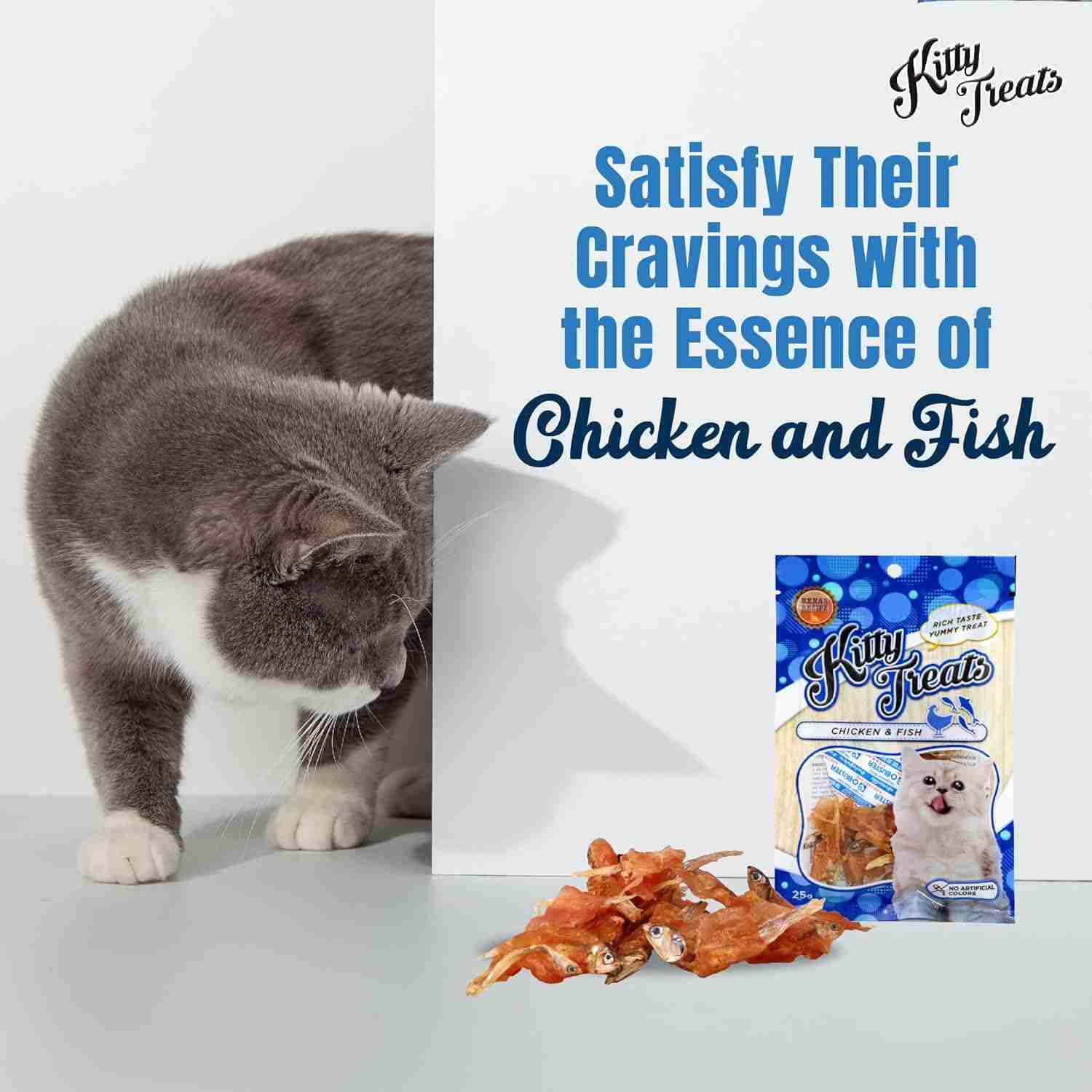Rena’s Recipe Kitty Treats Spiral Soft Chicken & Fish Cat Treat, 25 g