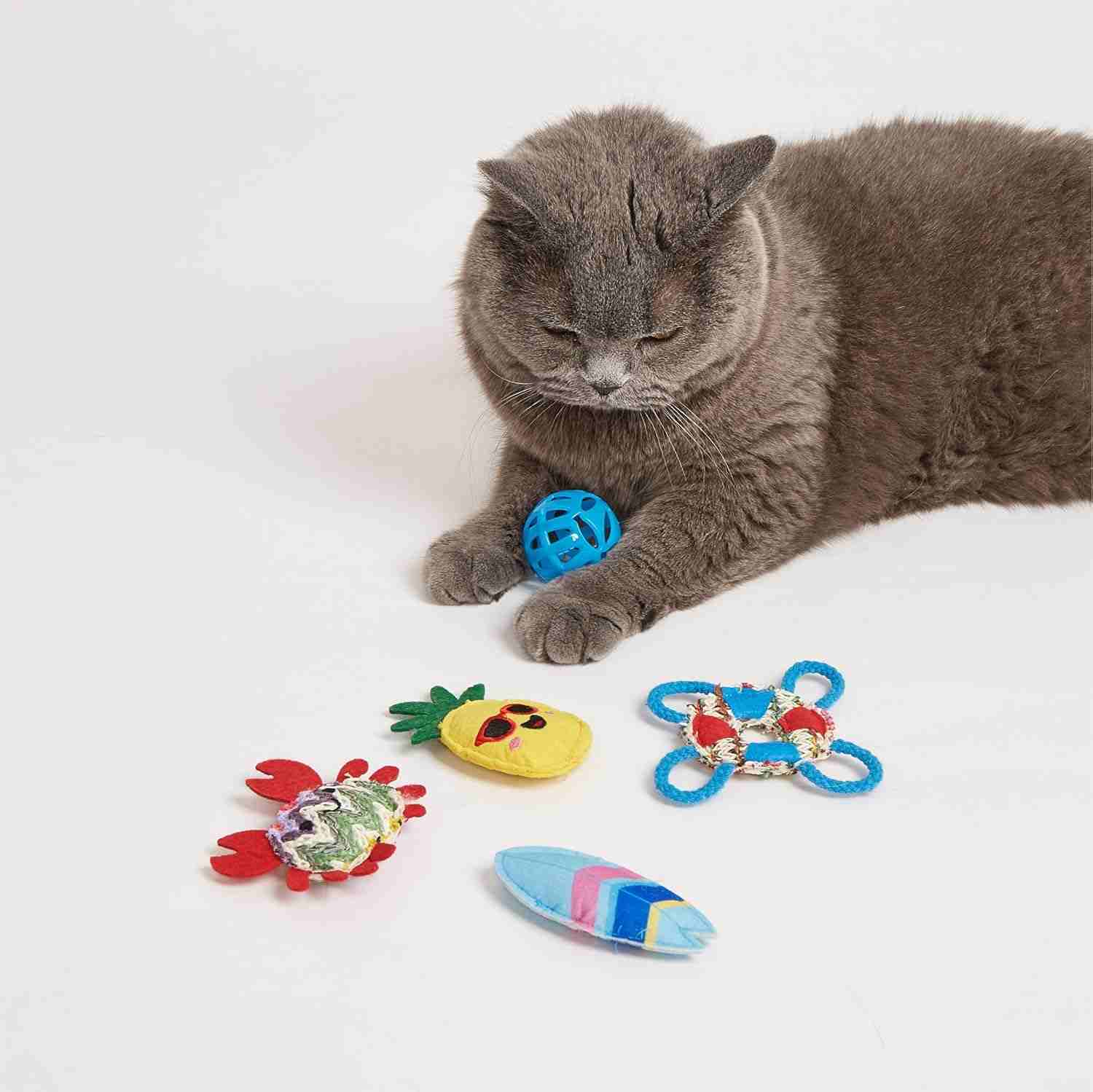 Fofos Sealife Cat Plush Toy, Pack of 6