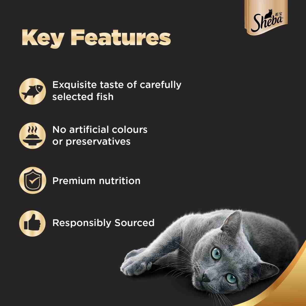 Sheba Premium Fish with Dry Bonito Flake Wet Cat Food - 35 gm