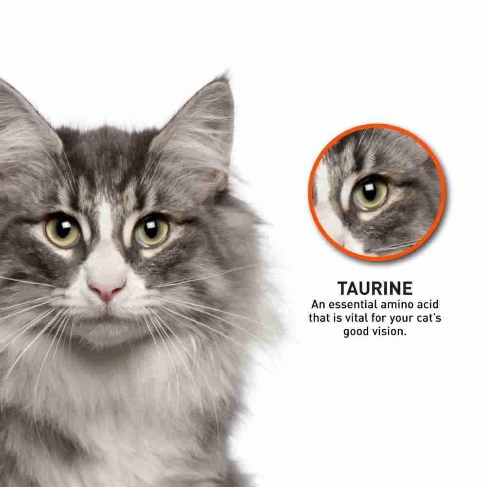ProDiet Mackerel Dry Cat Food