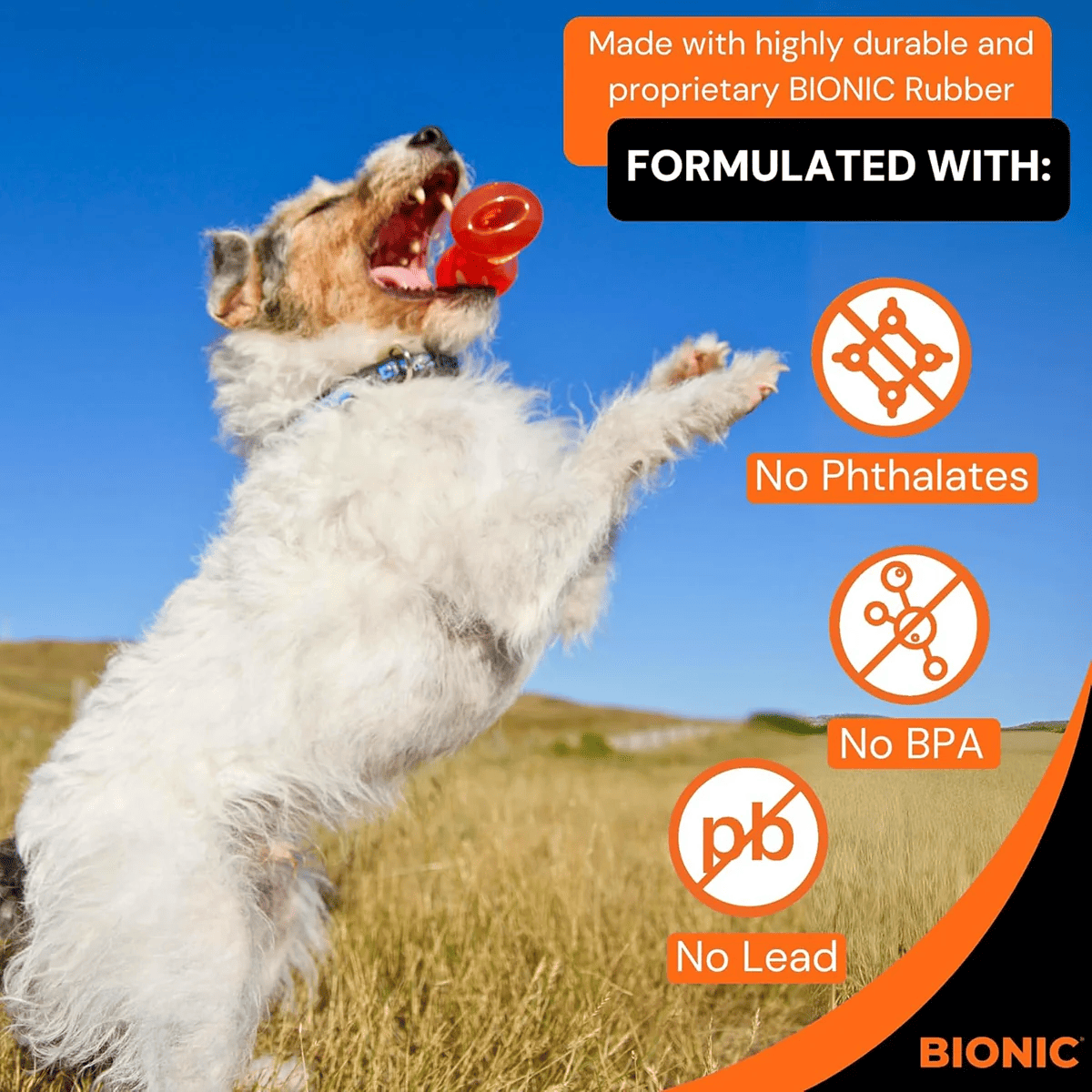 Bionic Bone Small Dog Toy, 9.5 cm