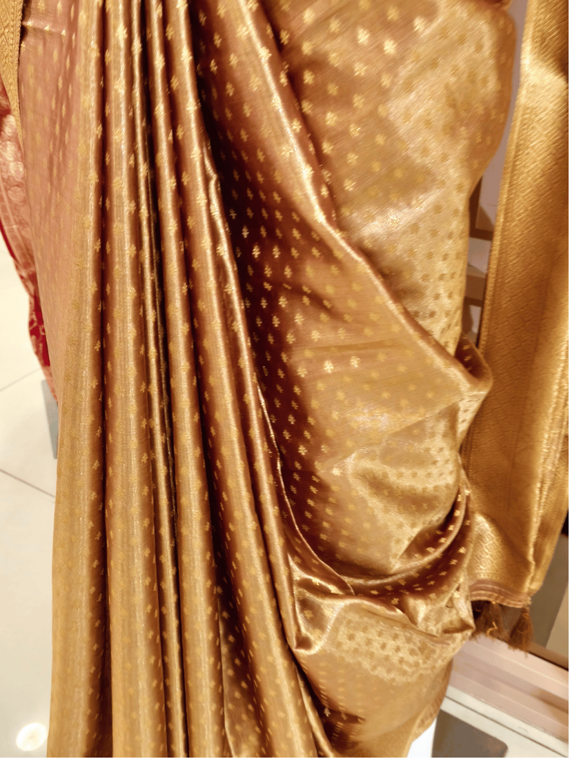 Manish Textiles Women's Gold Tissue Silk Naxi Border Saree