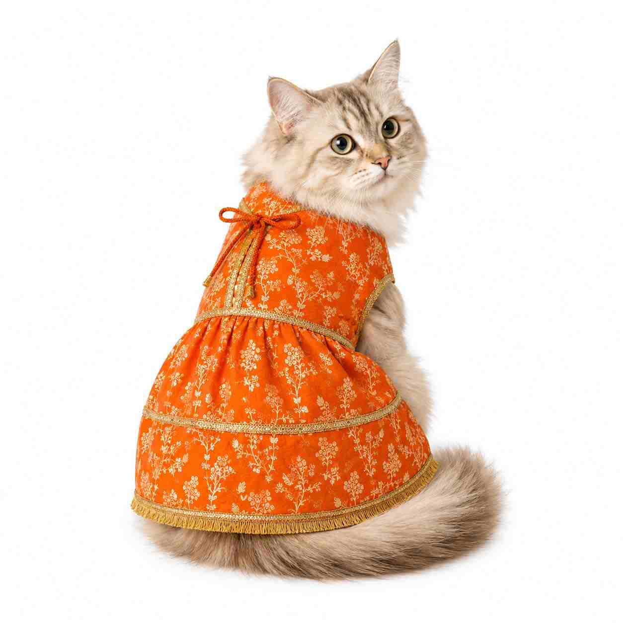 PawsIndia Traditional Royal Zari Dress for Cats - Orange