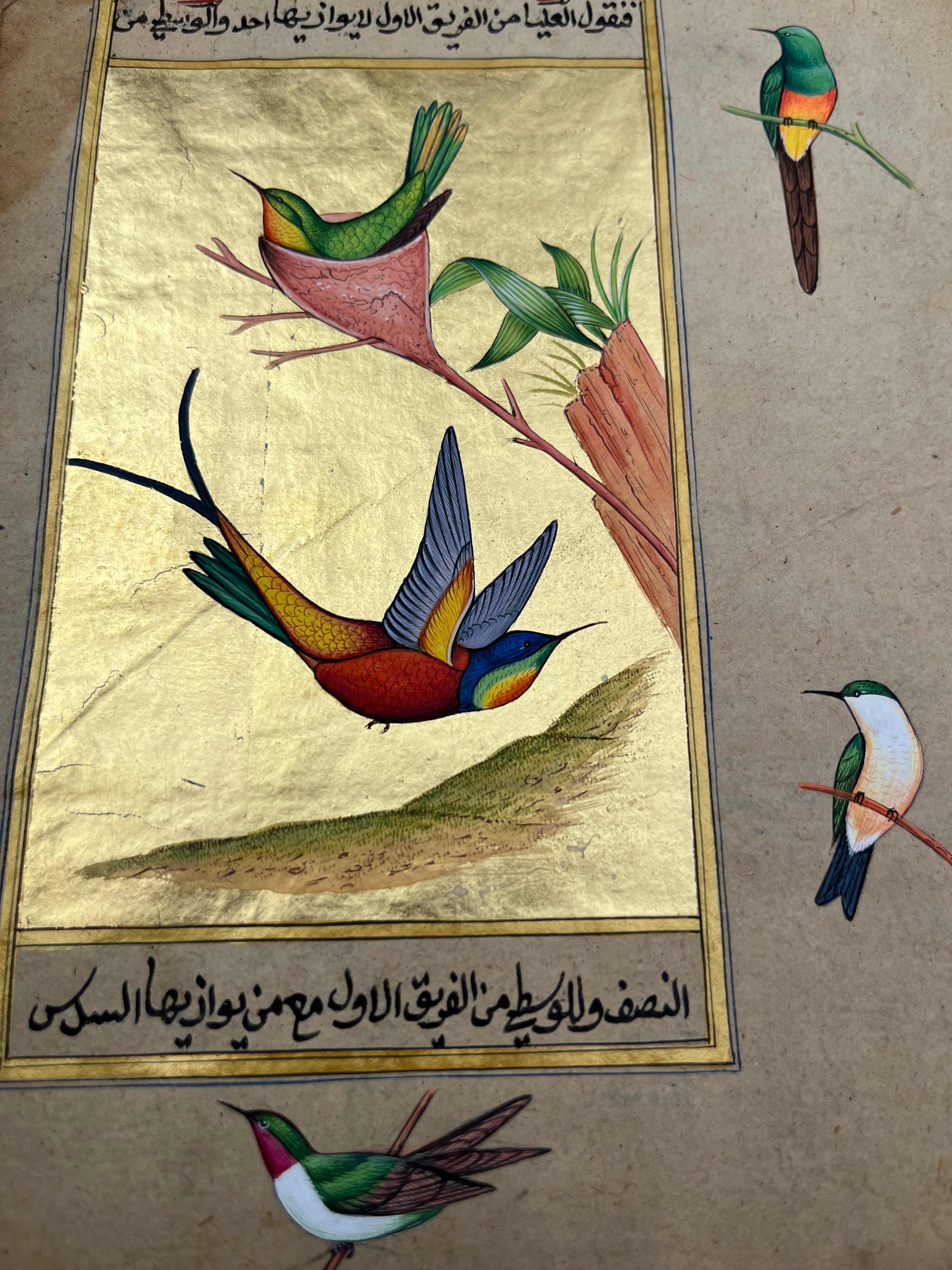 Humming Bird Miniature Painting