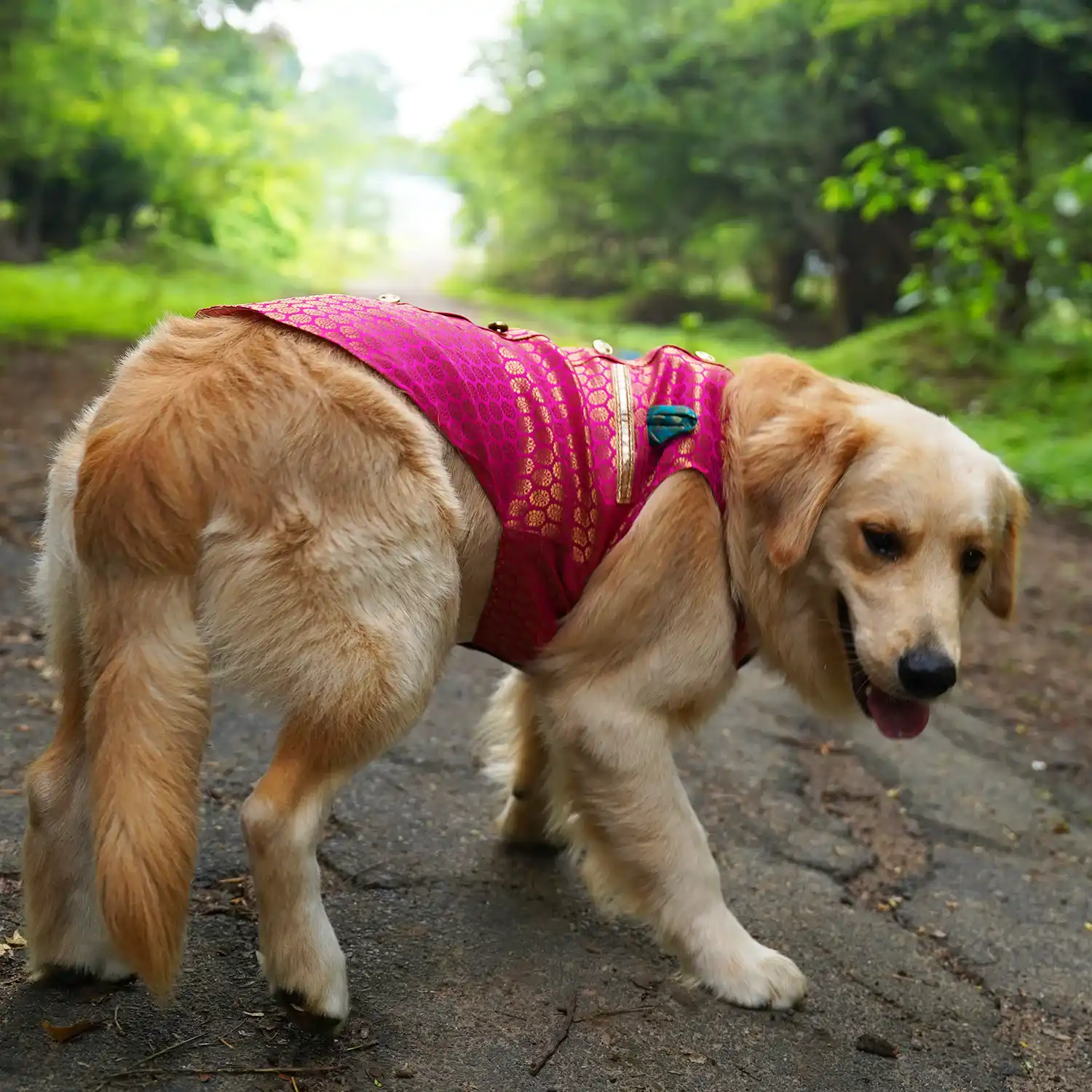 Pawsindia Traditional Royal Brocade Kurta for Dogs  - Pink | Ethnic Festive Wear
