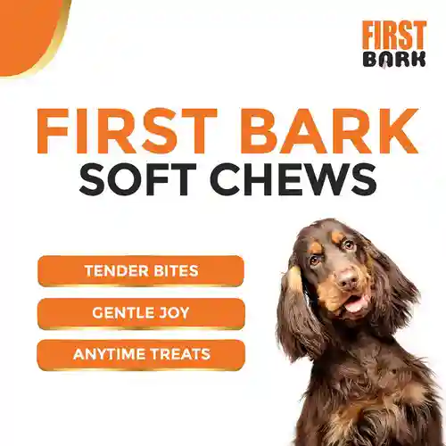 First Bark Chicken Slice with Cheese Jerky Dog Treat