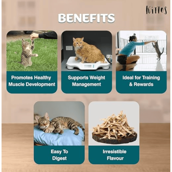 Kittos Tuna Jerky Strips Cat Treat - 35g