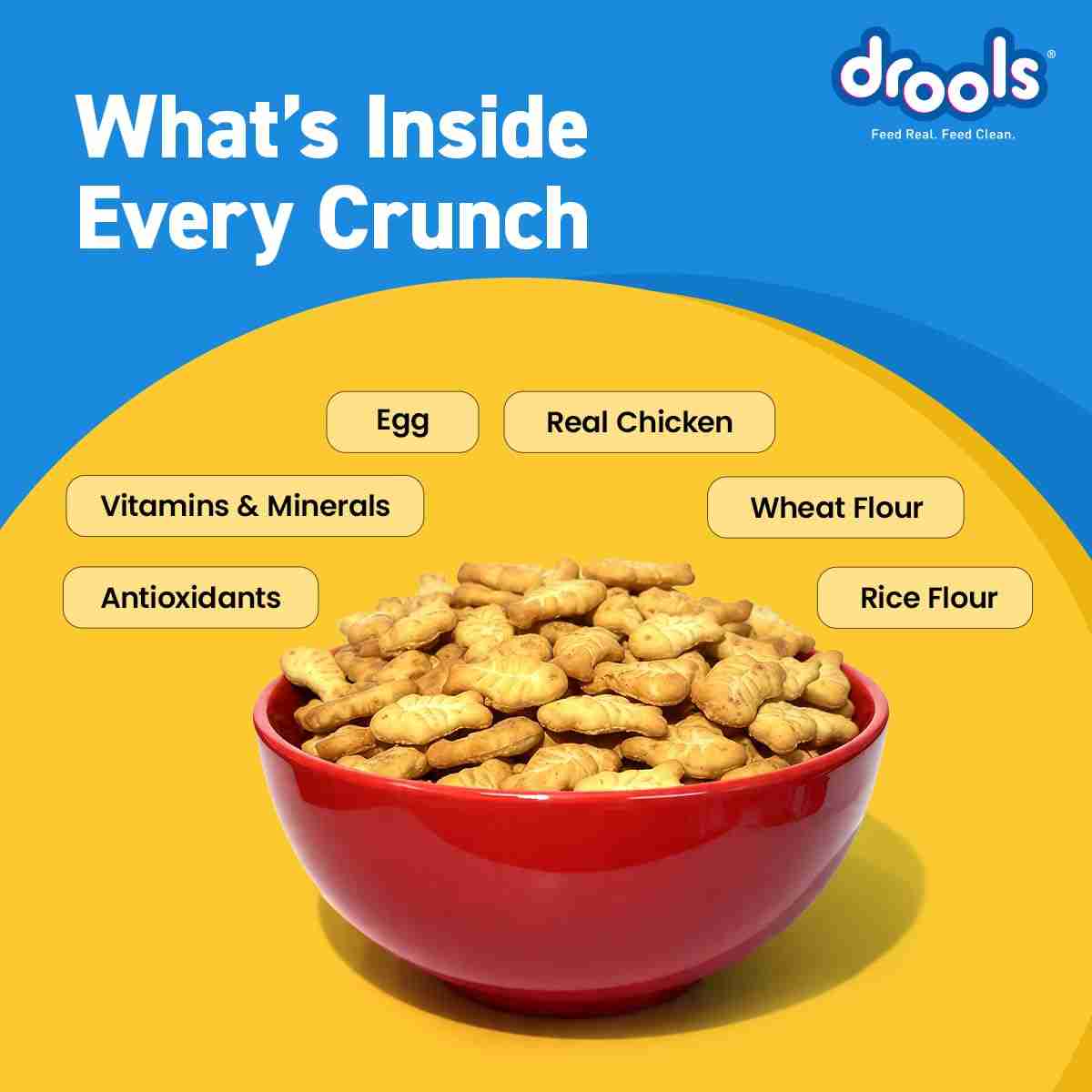Drools Real Chicken Biscuits Cat Treats for All Life Stages, Jar