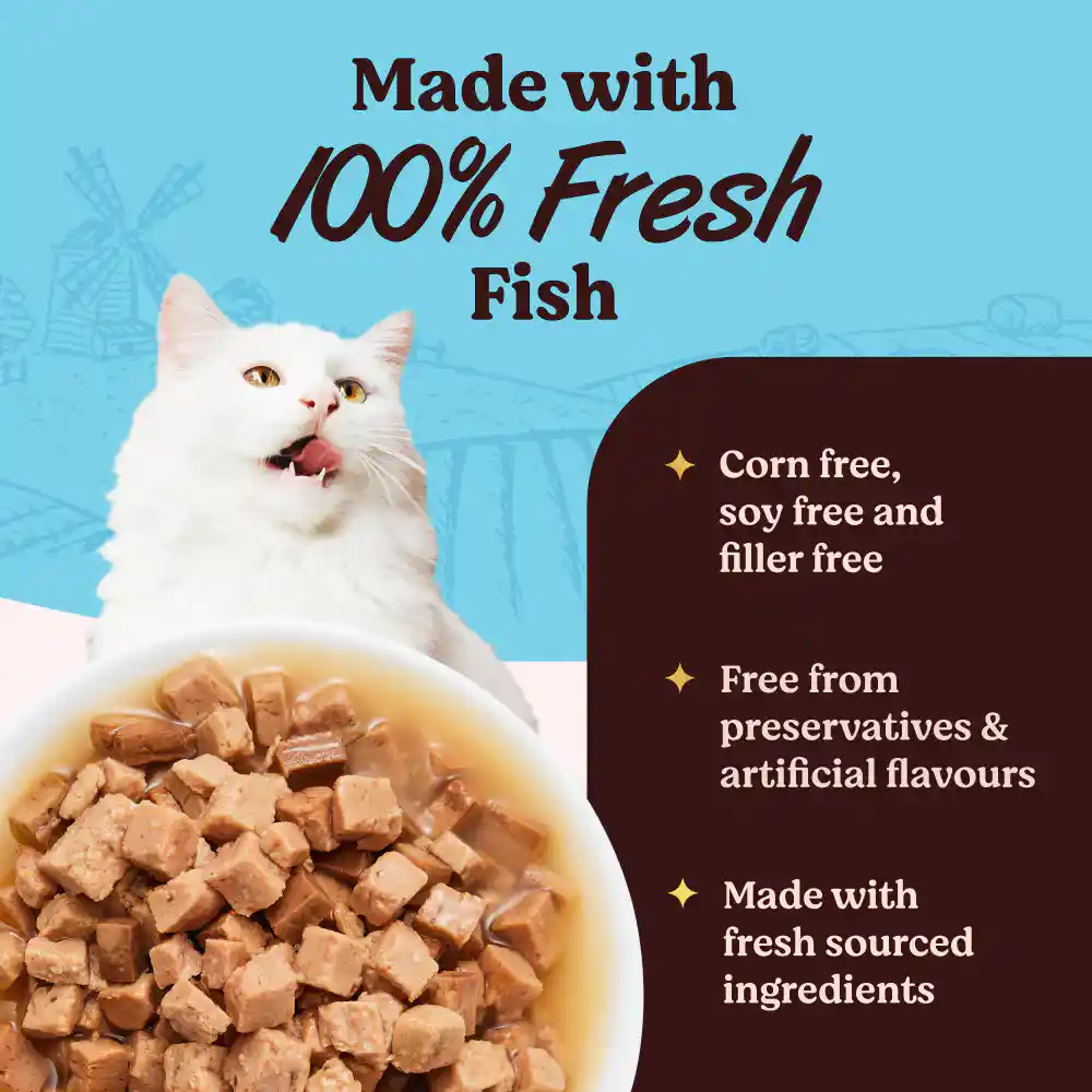 Kennel Kitchen Fish Chunks in Gravy Kitten and Adult Cat Wet Food, 80 g