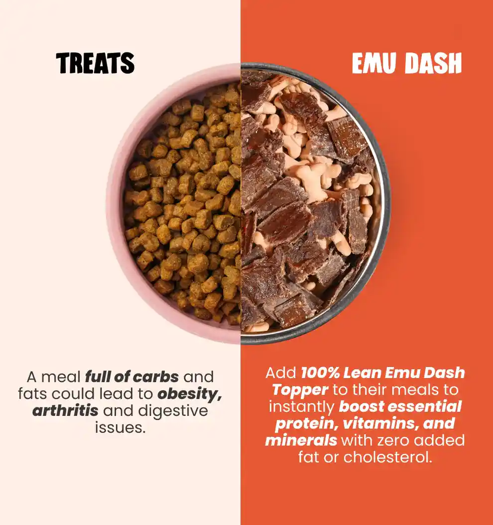 Human and the Beast EMU DASH Dry Food for Dogs, 100 g