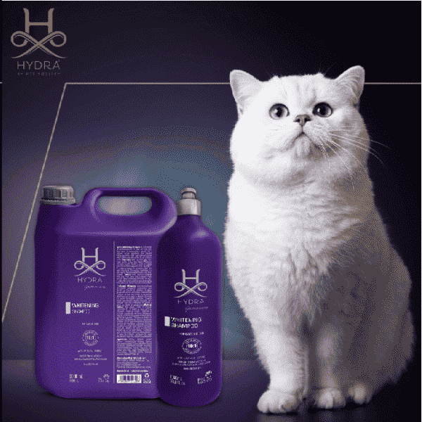 Hydra Whitening Shampoo
