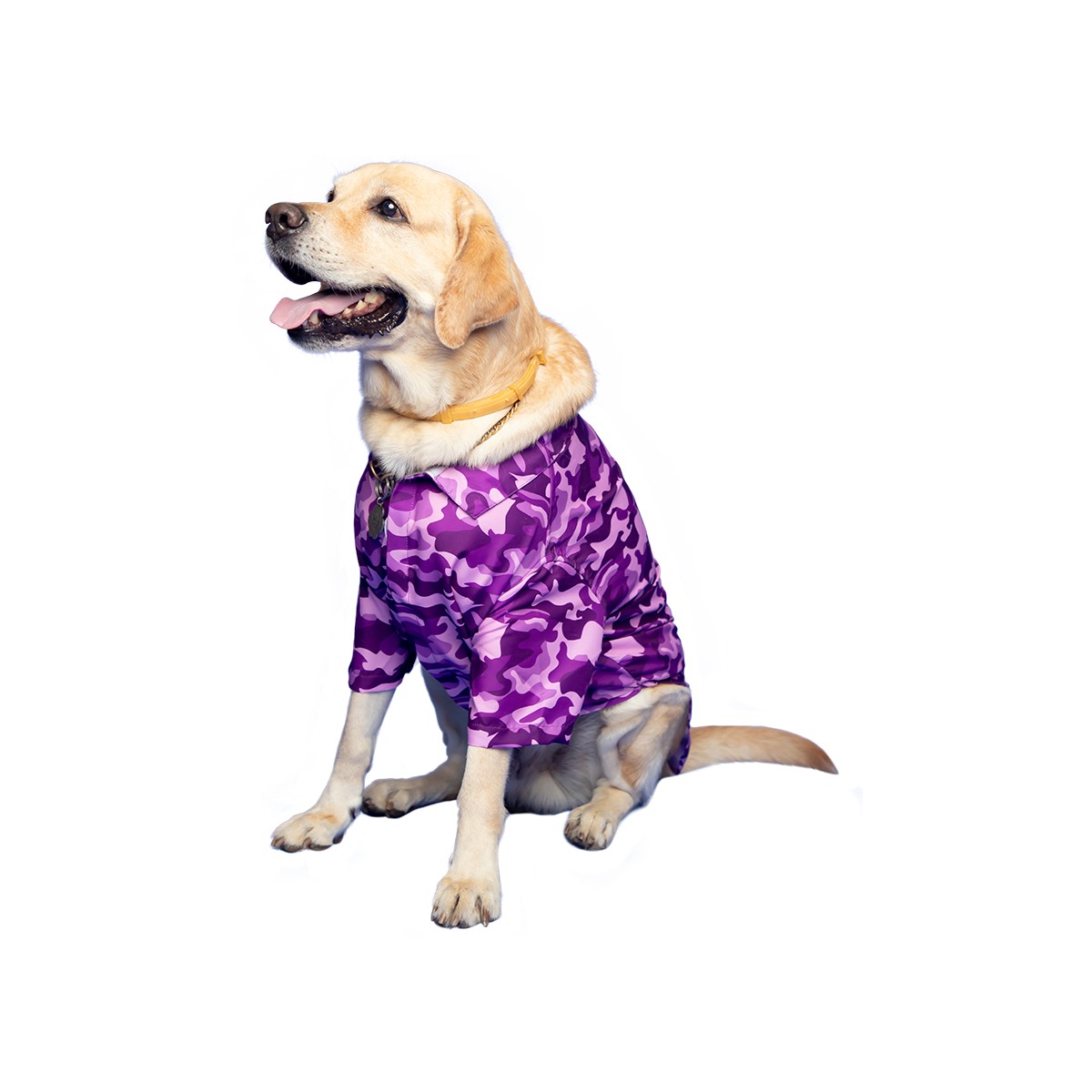Ezra Polyester Blend Dog Shirt - Military