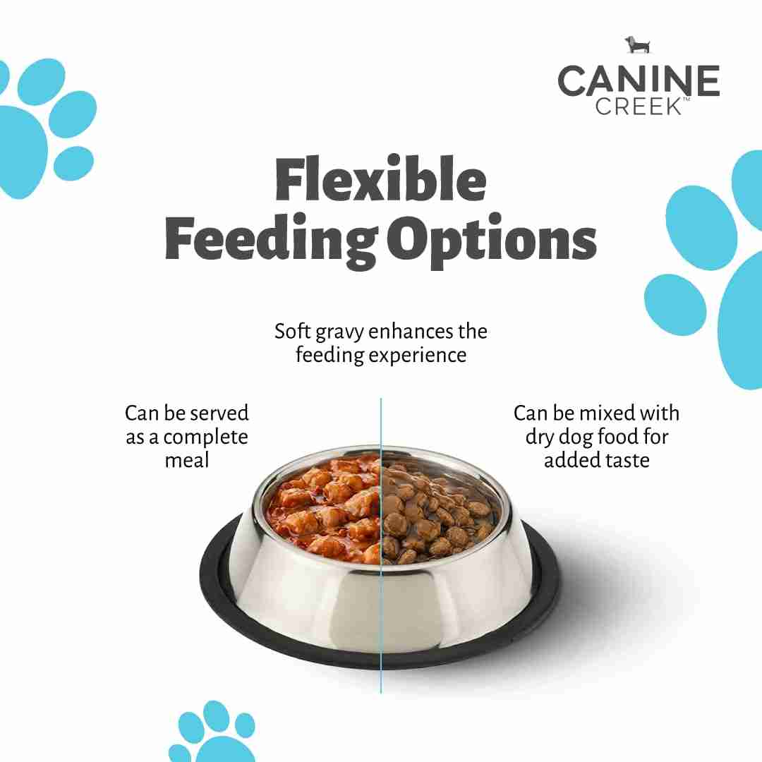 Canine Creek Real Chicken Gravy Adult Dog Wet Food