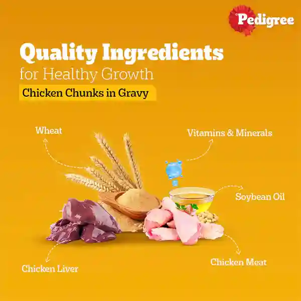 Pedigree Adult Chicken & Liver Chunks Wet Dog Food - 130g