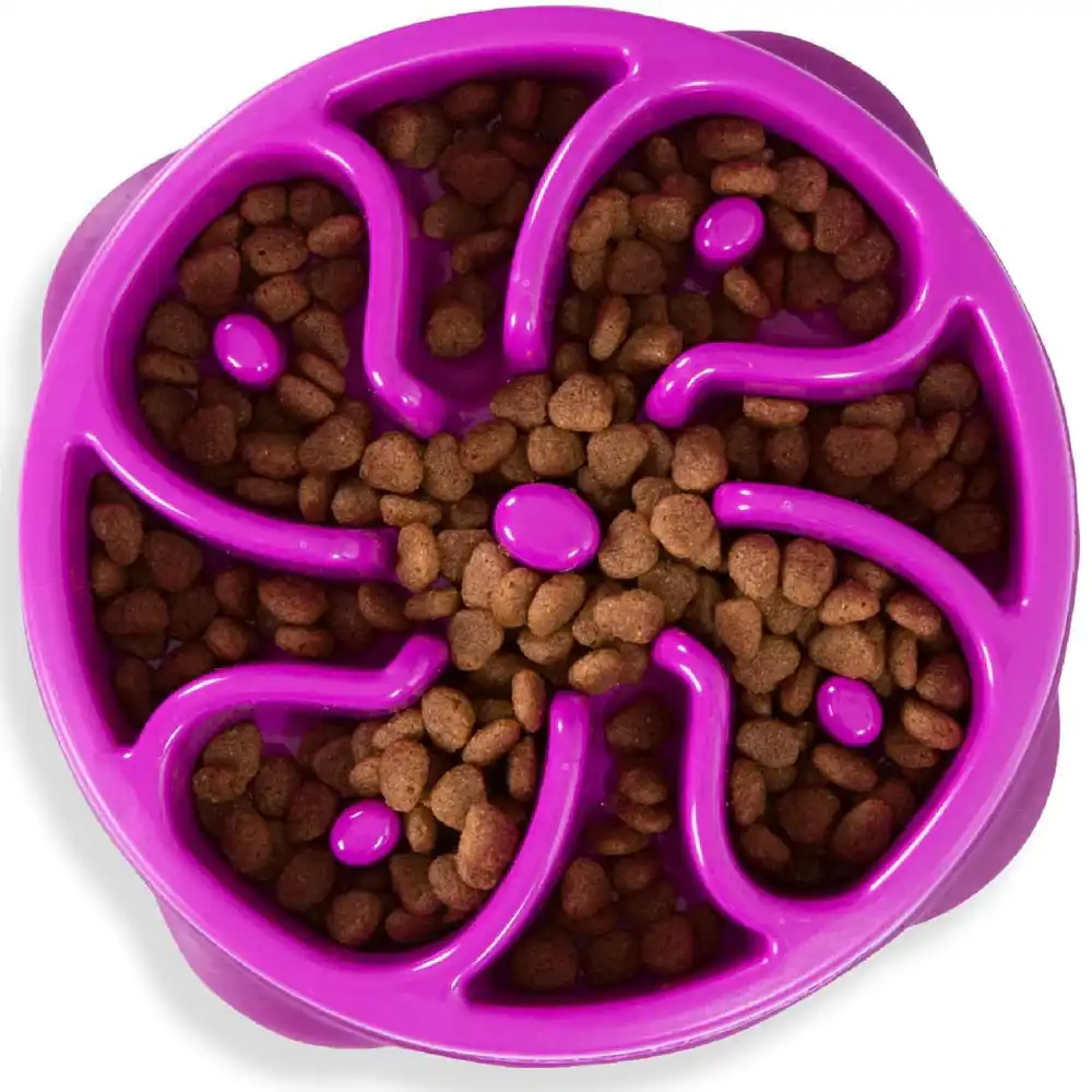 Outward Hound Mini Breed Slow Feeder Dog Bowl