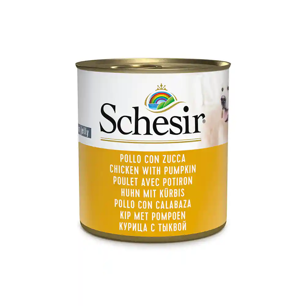 Schesir Dog Chicken and Rice With Pumpkin In Jelly 285G – (Best Before Feb’26)