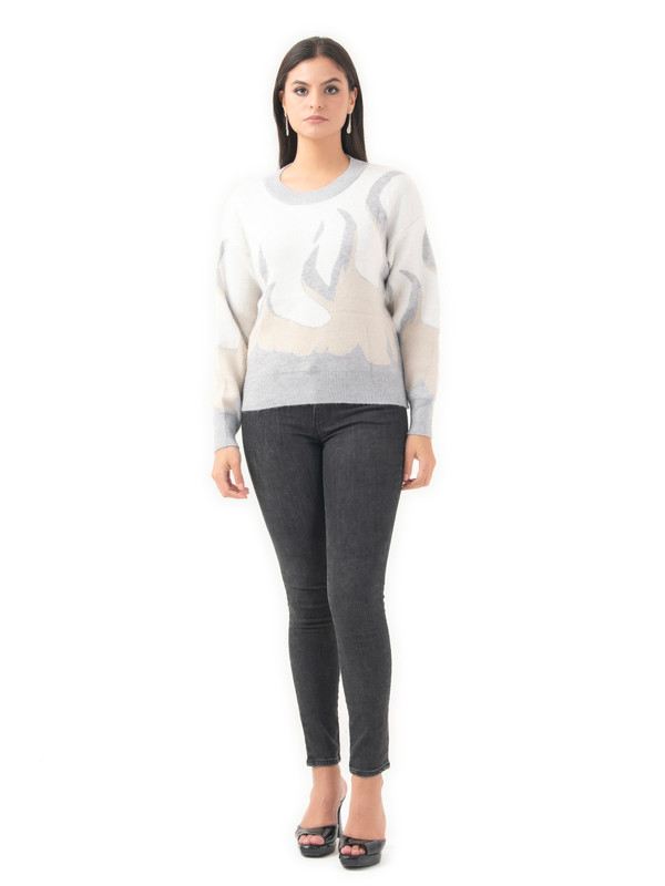 Albion Women Winter Grey Sweaters