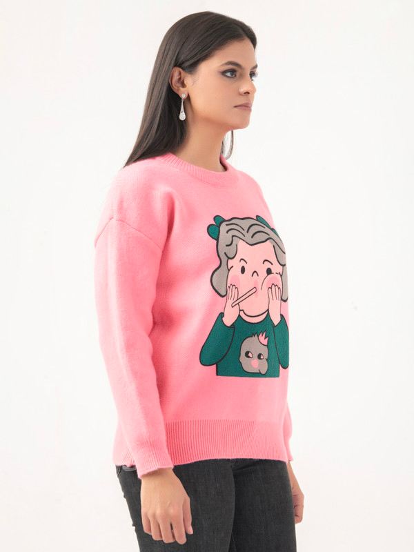 Albion Women Winter Pink Sweaters