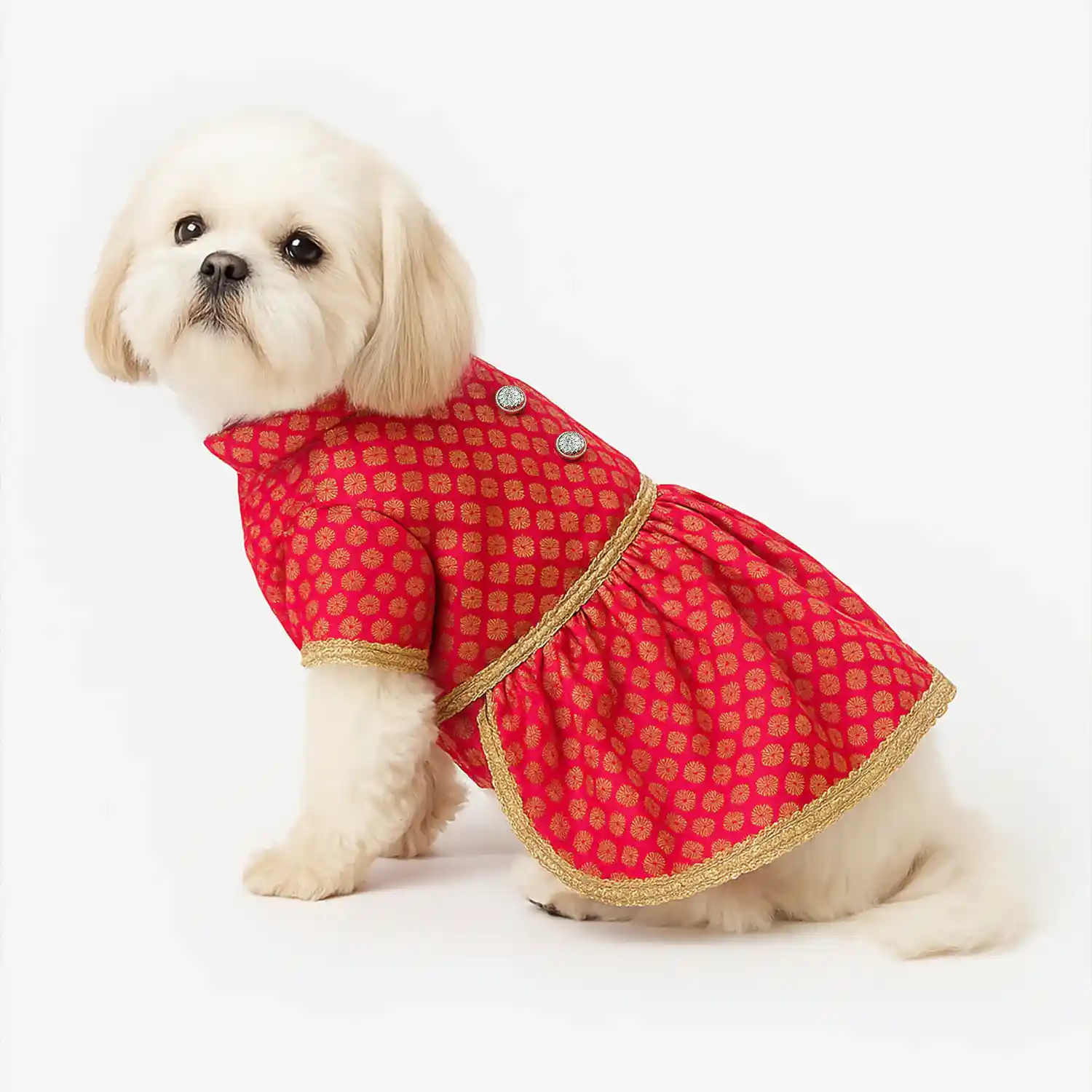 Pawsindia Traditional Royal Brocade Dress for Dogs - Red | Ethnic Festive Wear