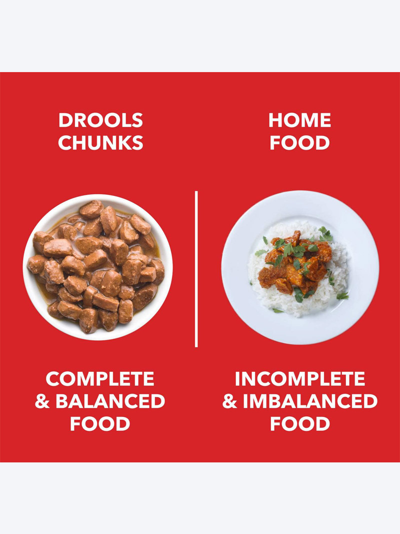 Drools Real Chicken & Chicken Liver Chunks in Gravy Adult Dog Wet Food