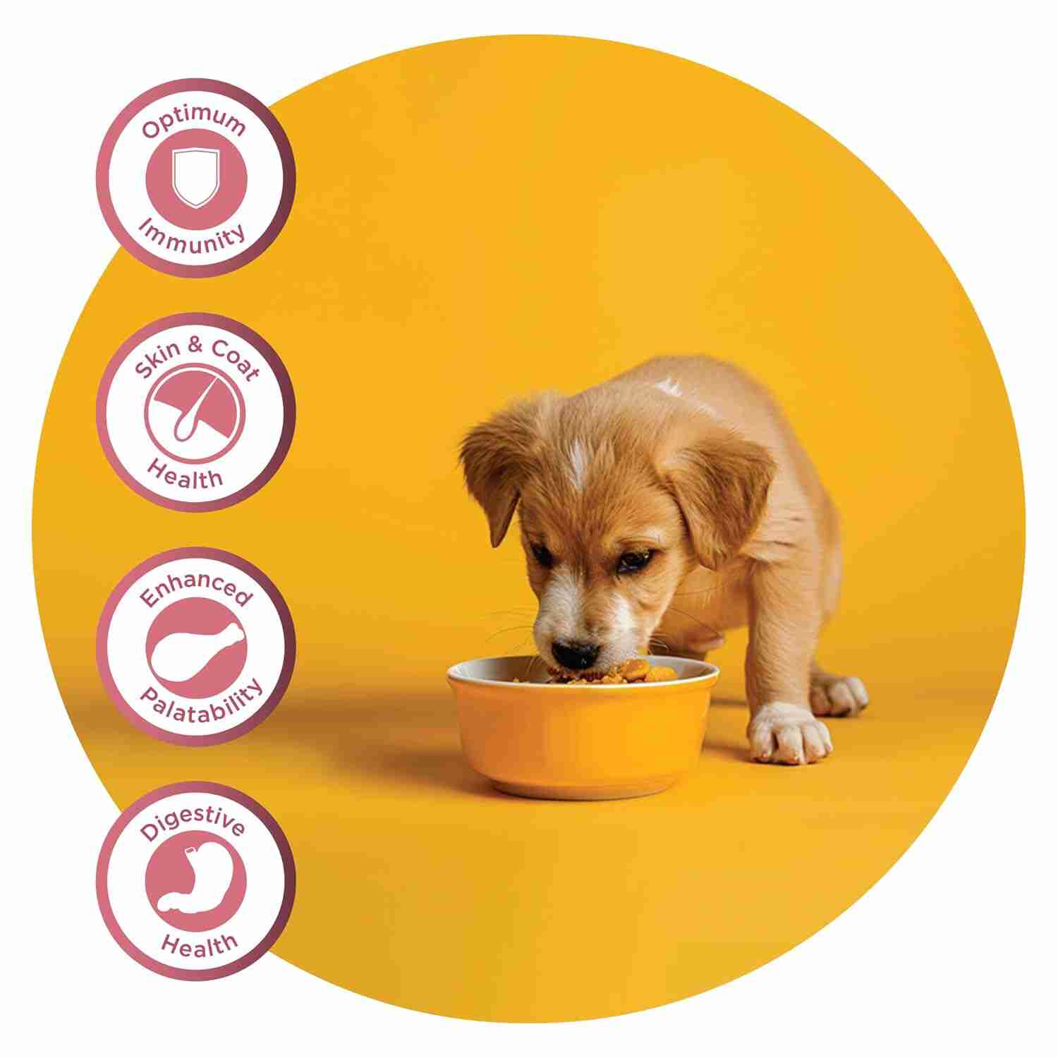 Fidele Plus Small & Medium Breed Puppies Dry Dog Food