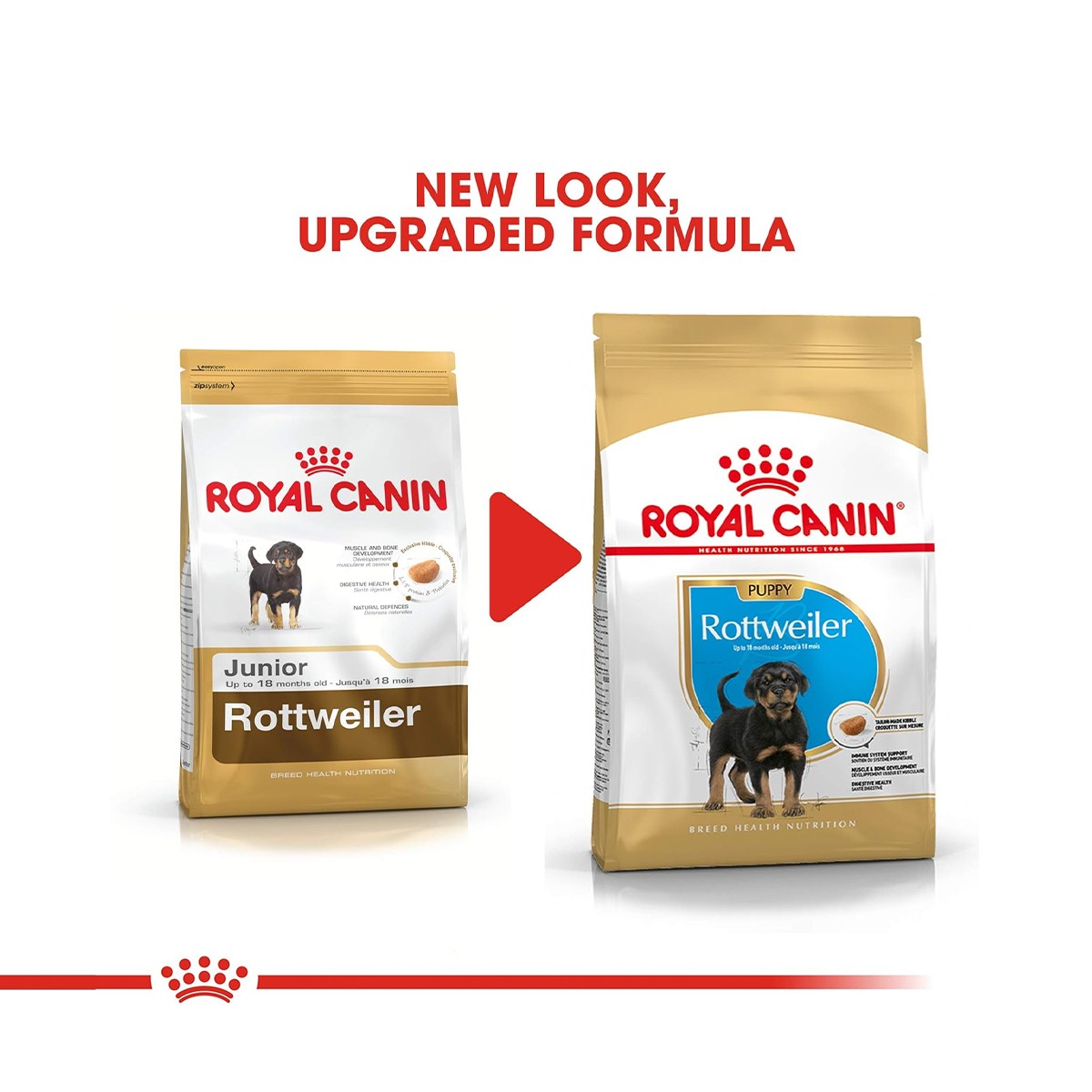 Royal Canin Rottweiler Puppy Dry Dog Food