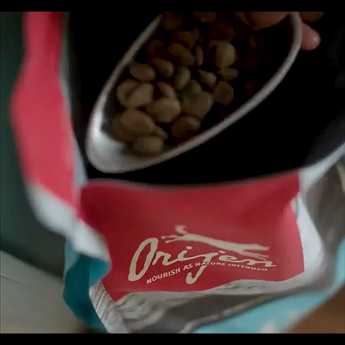 Orijen Original Dry Dog Food For All Life Stages