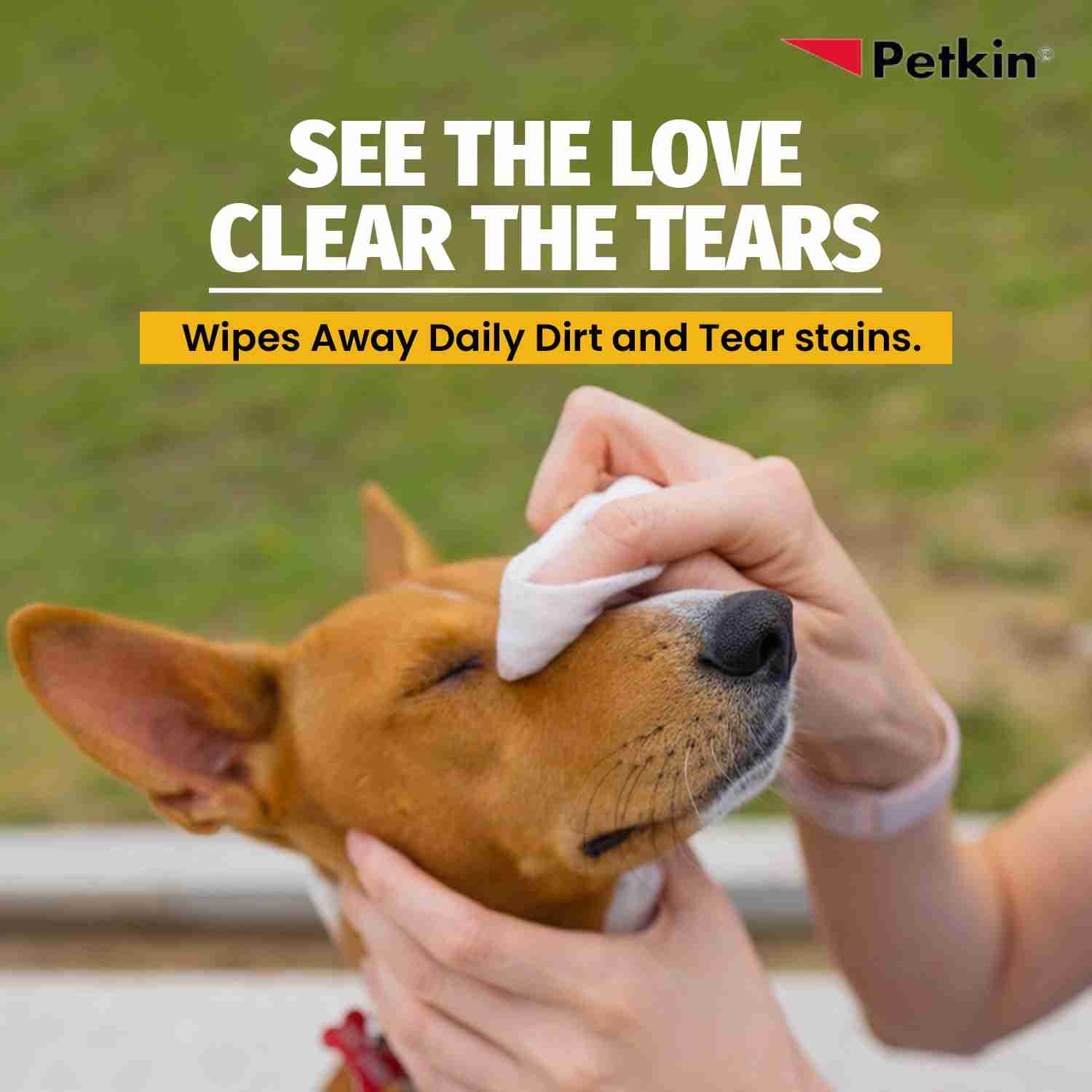 Petkin Jumbo Eyewipes