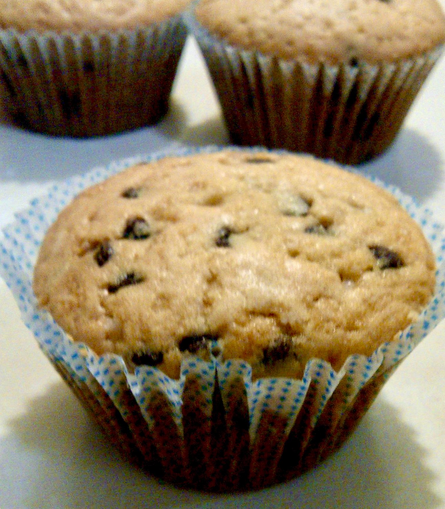 Chocolate Chip Muffin