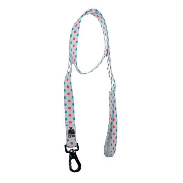 Ezra Digital Print Dog Leash - Assorted