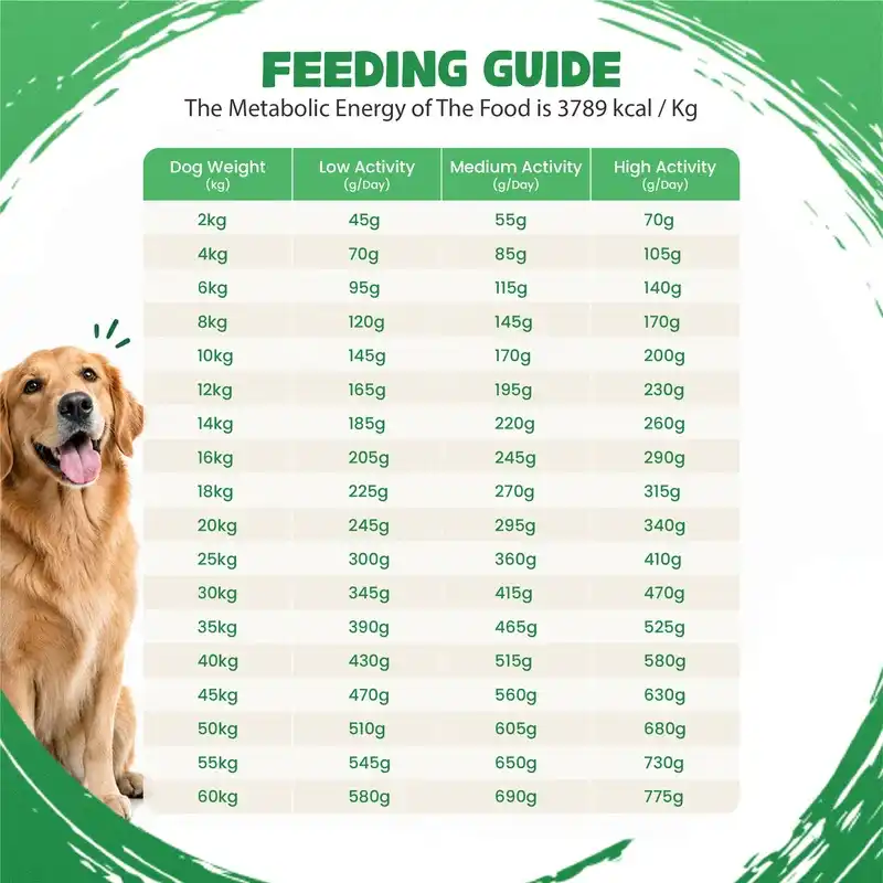 Well Fed Beneficial Grain Chicken and Veggies Dry Food for Dogs