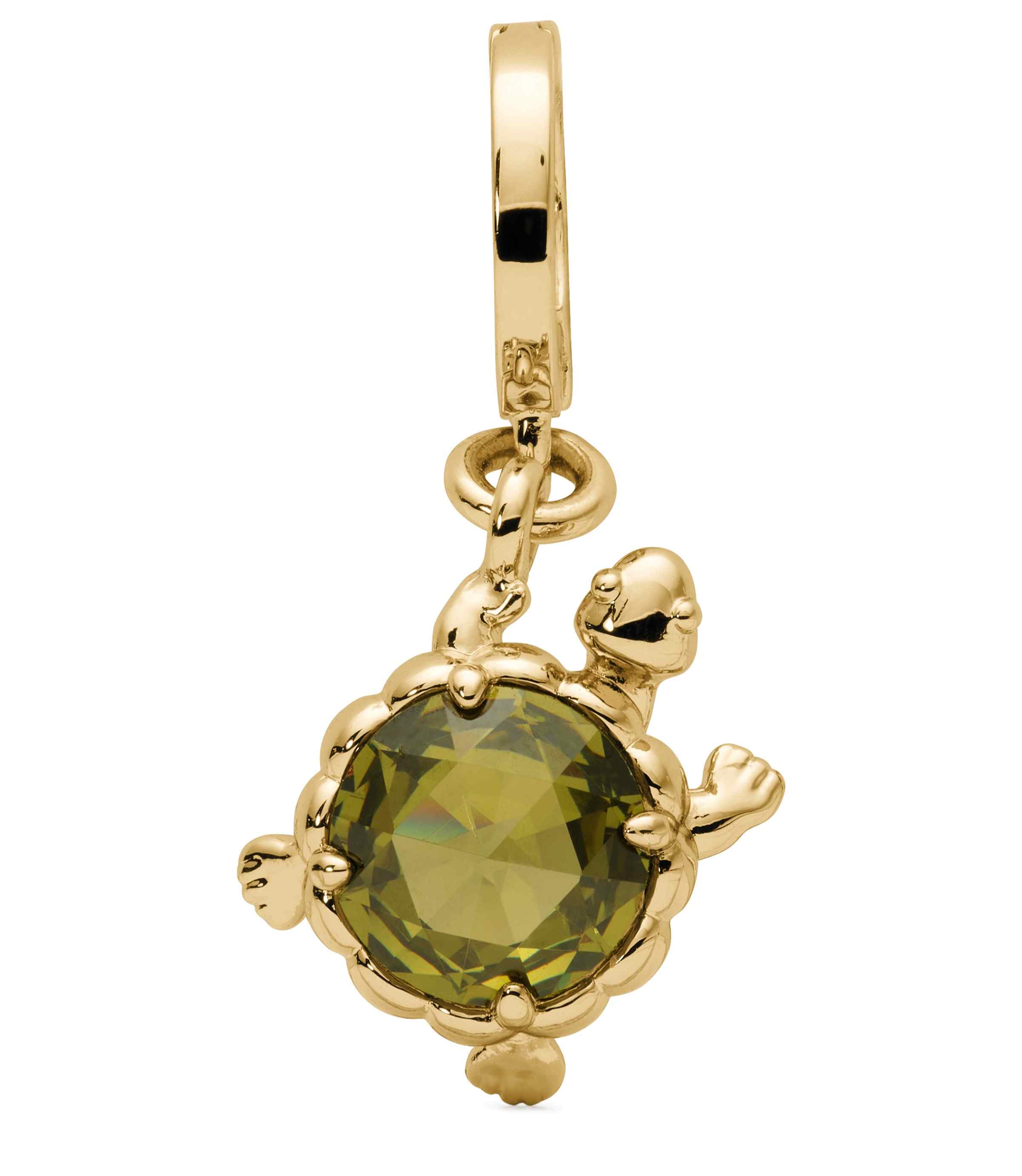 One In A Million Turtle Charm