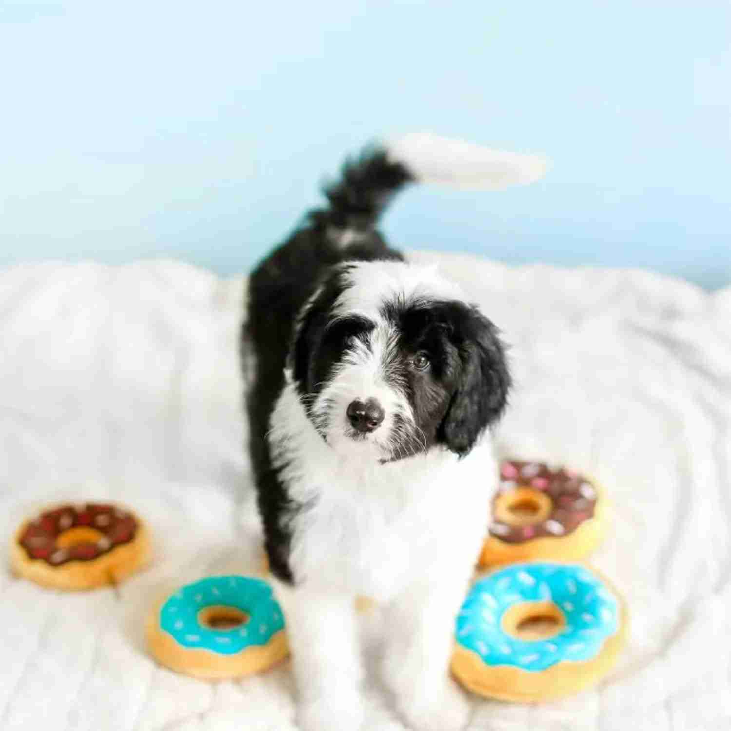 Zippy Paws Junior Donutz Dog Toy, Strawberry