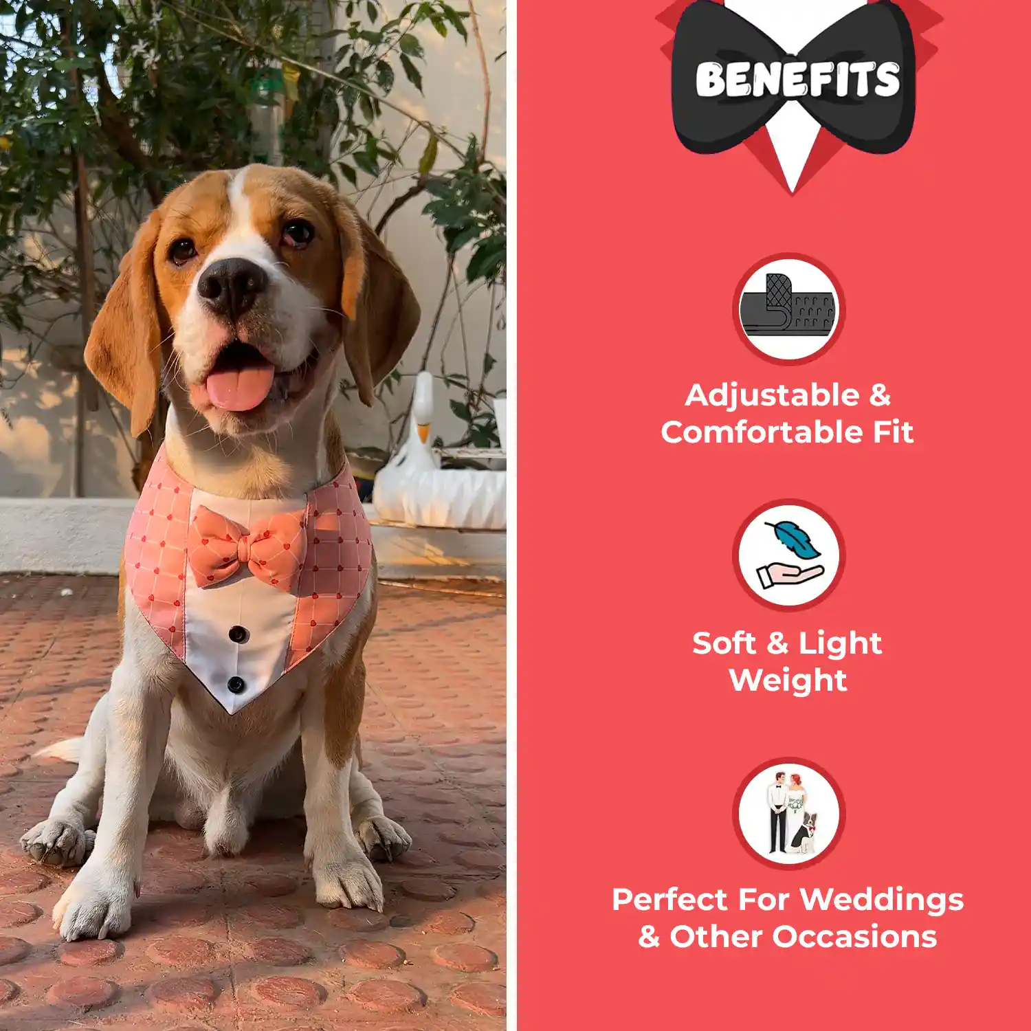 PawsIndia Valentines Edition Red Heart Printed Tuxedo for Pets