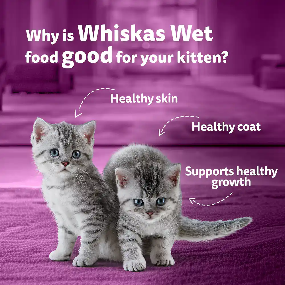 Whiskas Kitten Tuna for Cats 560g