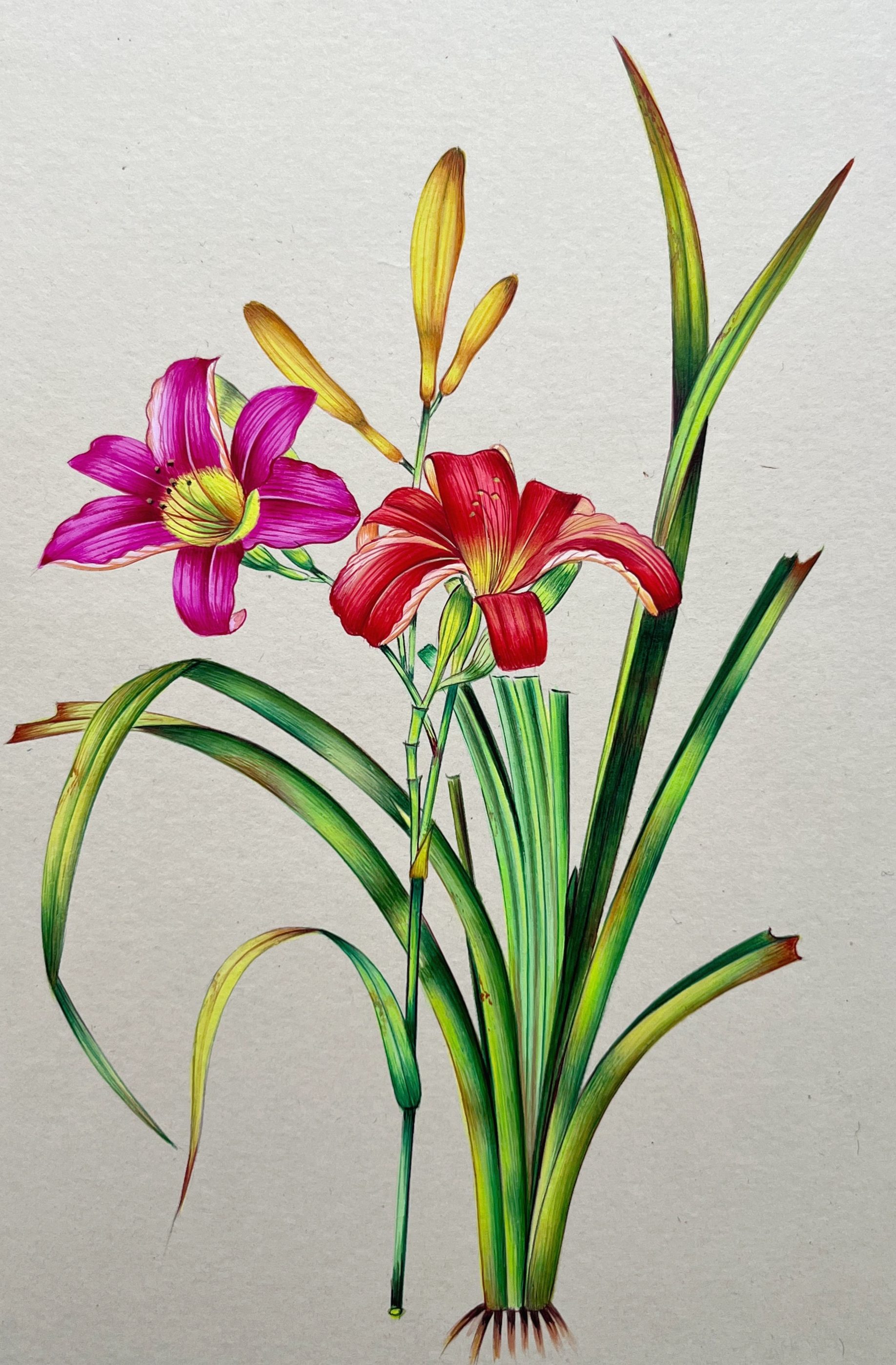 Realstic flowers Miniature Painting