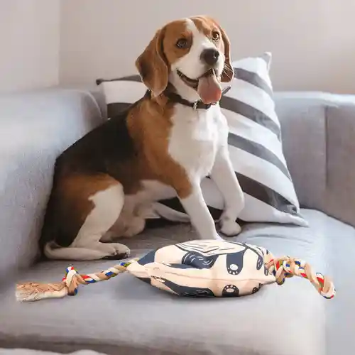 Barkbutler Fofos Flossy Rope Toy With Panda for Dogs