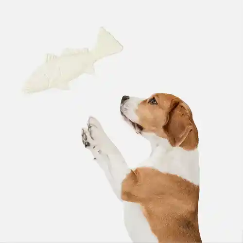 Barkbutler Fofos Durable Dog Chew Toy Cuttlefish