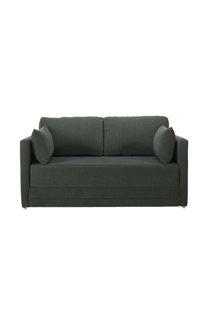 neudot Max Fabric Pull-Out Sofa Cum Bed for Living Room | 2 Seater Sofa Bed for Drawing Room & Bedroom | Diwan | Astro Grey Color