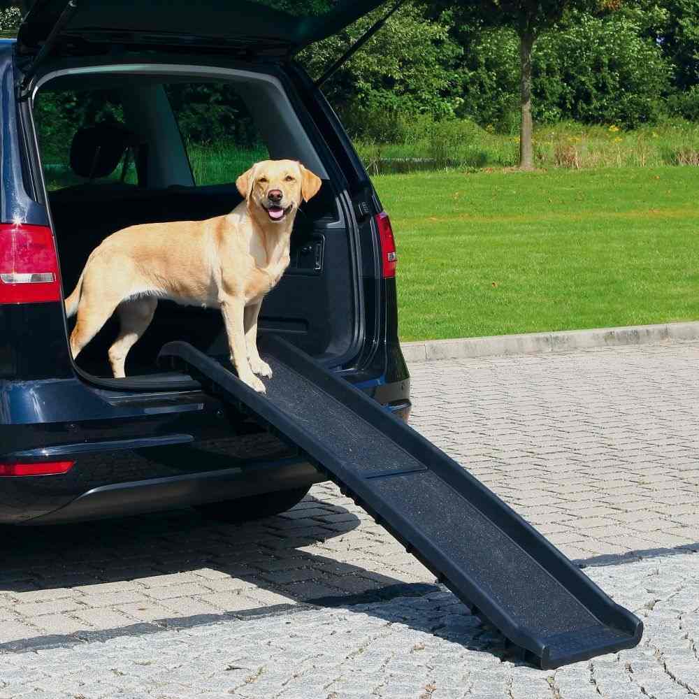 Trixie Folding Ramp, Plastic/Sandpaper, Black (40 x 156 cm)