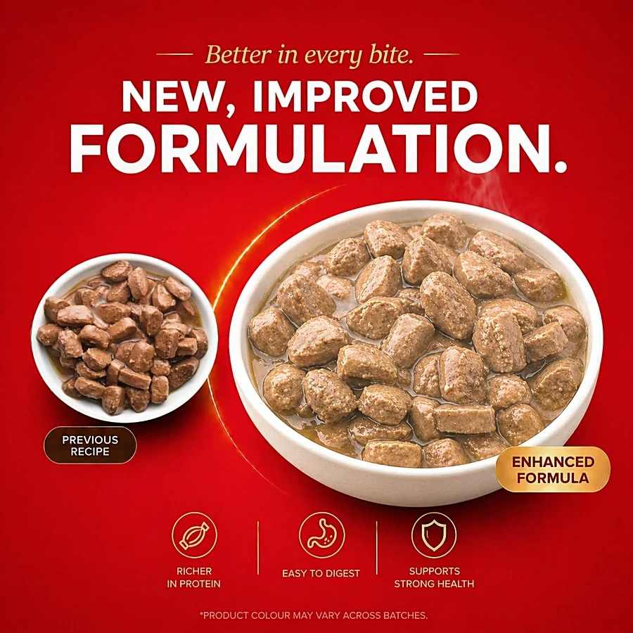 Drools Real Chicken & Liver Chunks In Gravy Wet Food For Puppy, 60g
