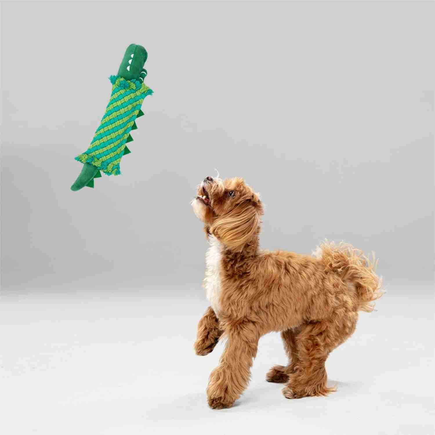 Barkbutler Fofos Dental Crocodile Toy for Dogs 36 CM