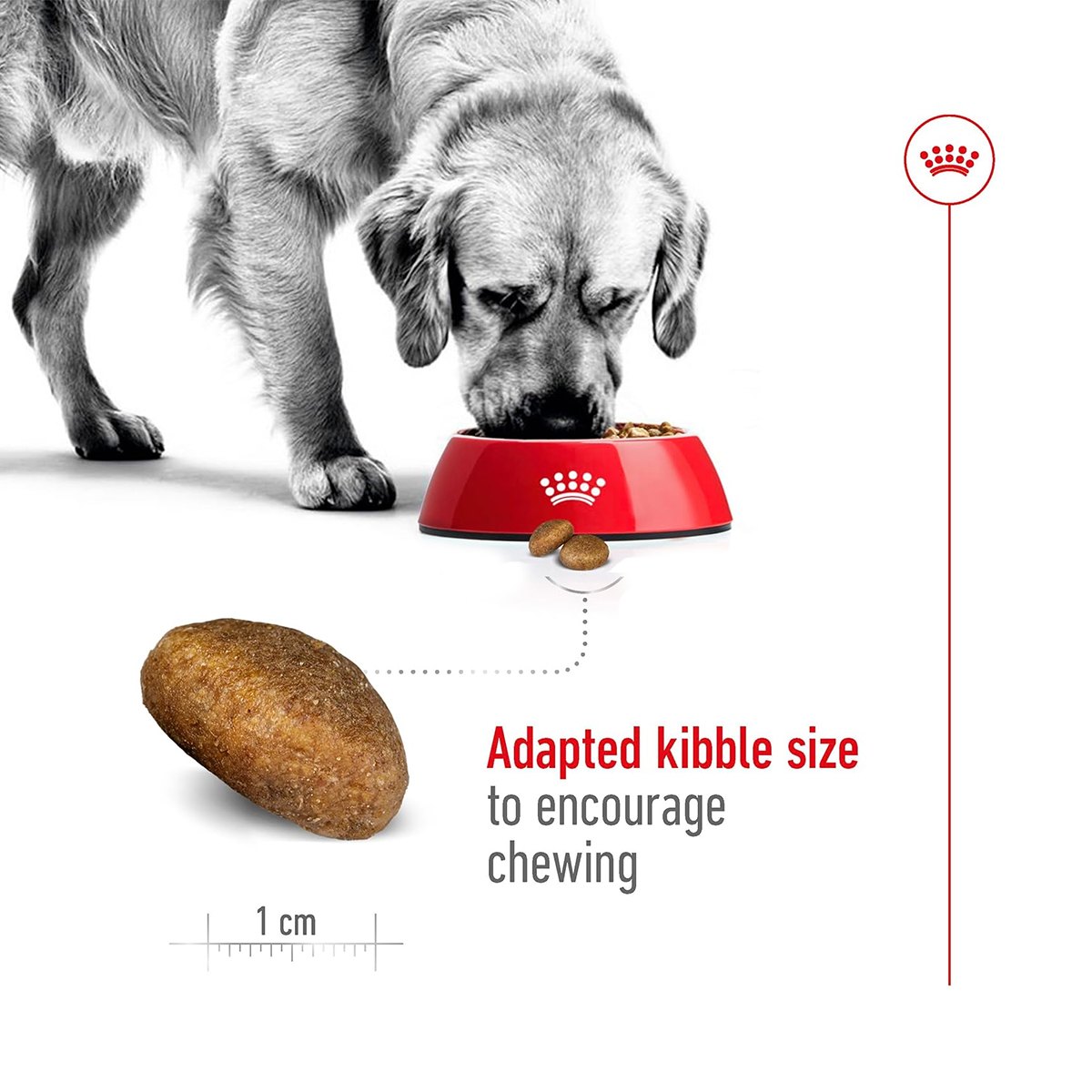 Royal Canin Maxi Adult Dry Dog Food
