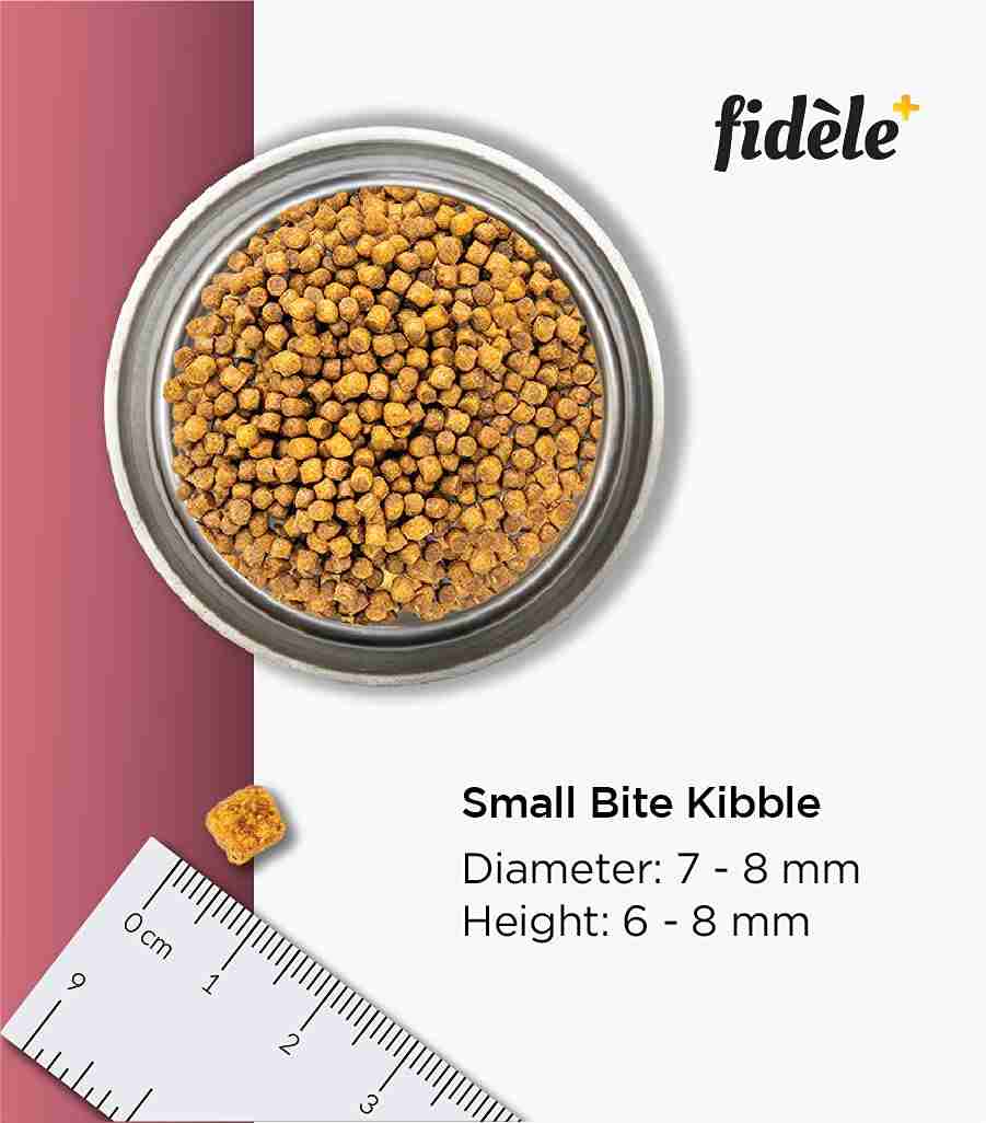 Fidele Plus Small & Medium Breed Puppies Dry Dog Food