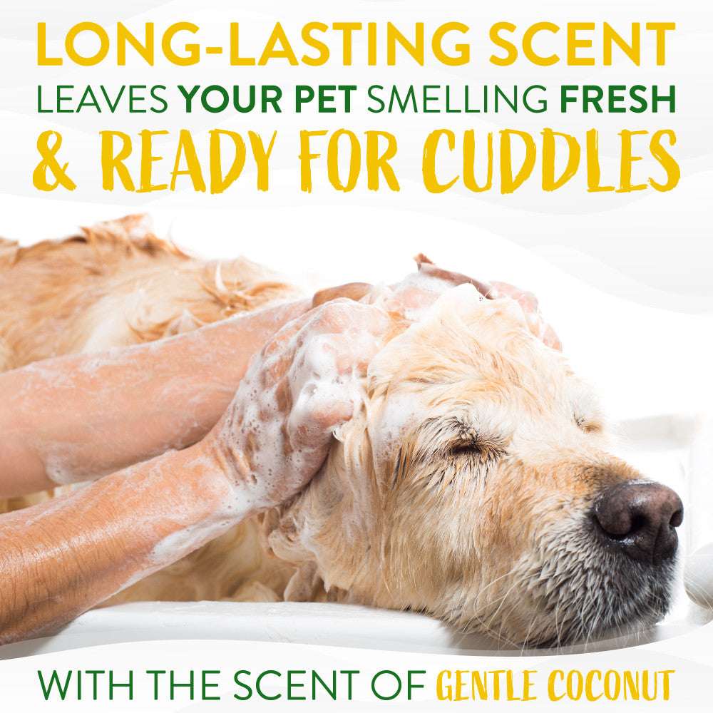 TropiClean Gentle Coconut Puppy & Kitten Shampoo