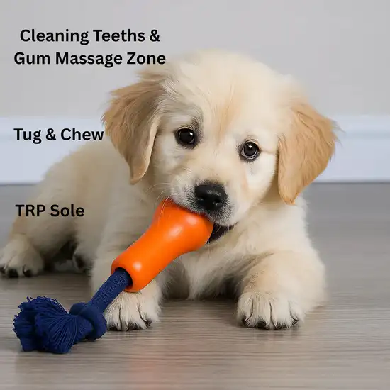 Joyser Ropper Dog Toy, Orange/Dark Blue (S-M)