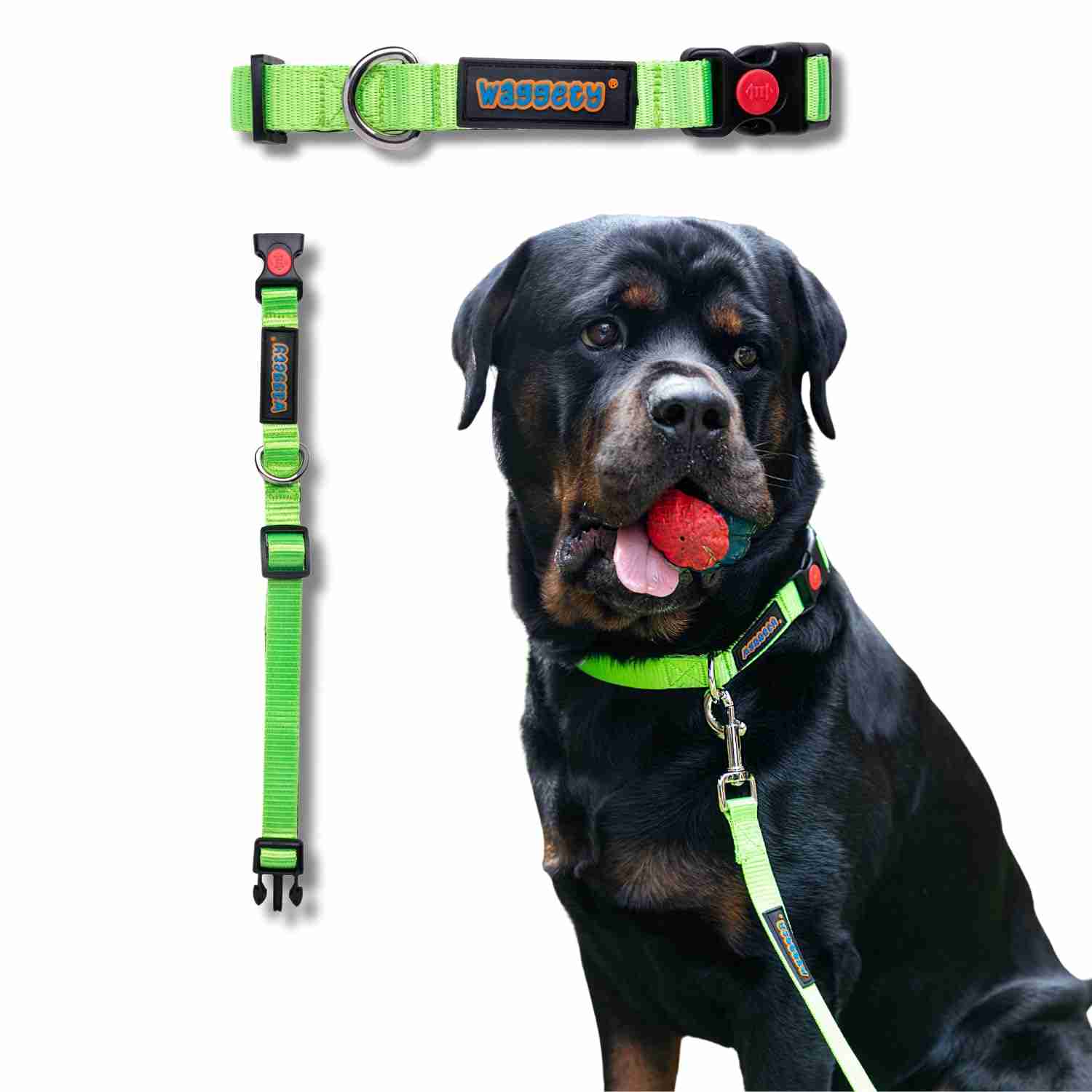 Waggety Padded Dog Collar, Green