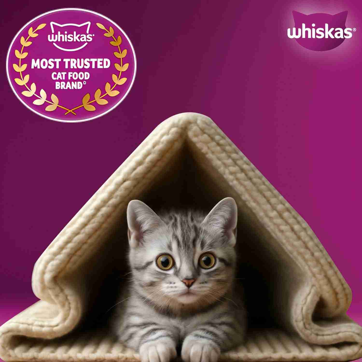 Whiskas Mackerel Junior Cat Dry Food