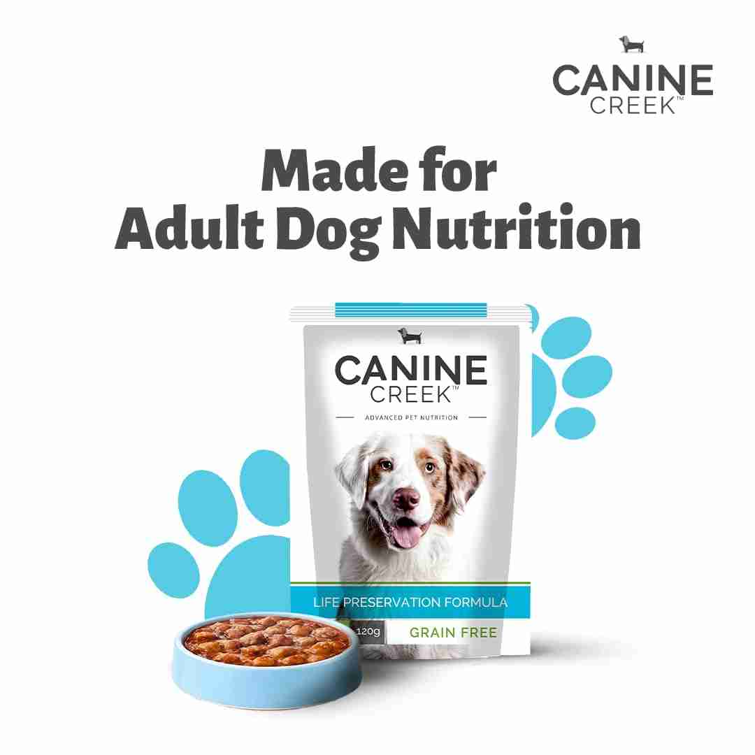 Canine Creek Real Chicken Gravy Adult Dog Wet Food
